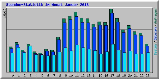 Stunden-Statistik im Monat Januar 2016