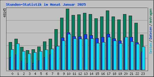 Stunden-Statistik im Monat Januar 2025